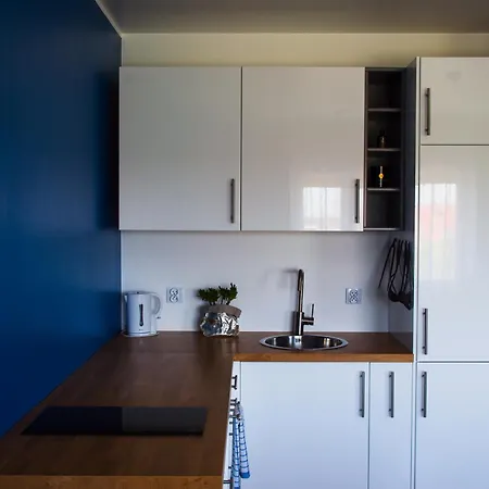 Tanie - Lowicka 28 Apartamento Gliwice