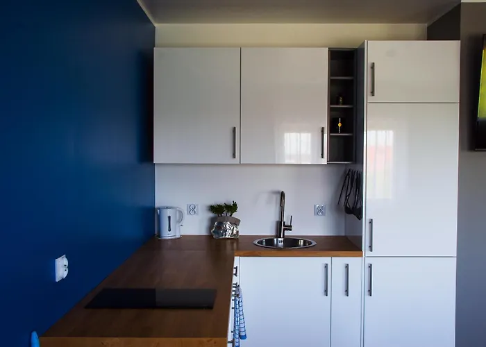 Tanie - Lowicka 28 Apartamento Gliwice